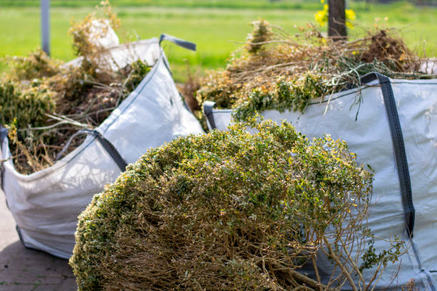 Best Construction Debris Removal  in Selma, CA